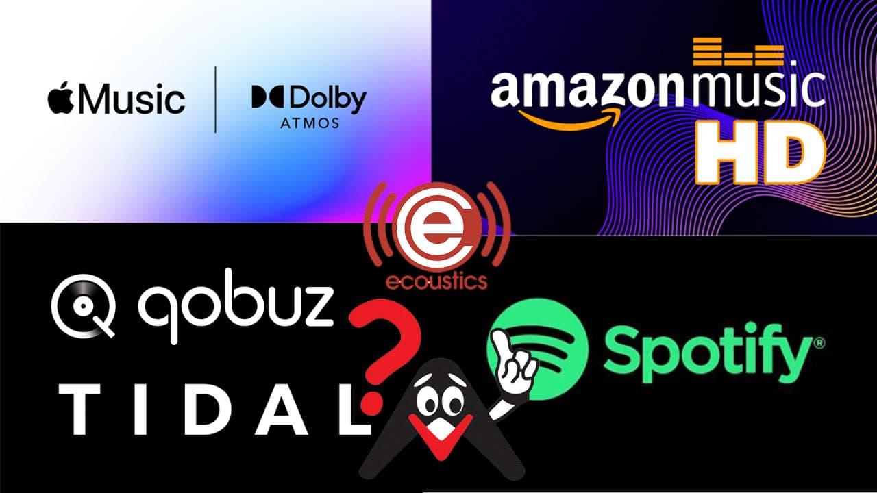 Digital Music Streaming Services